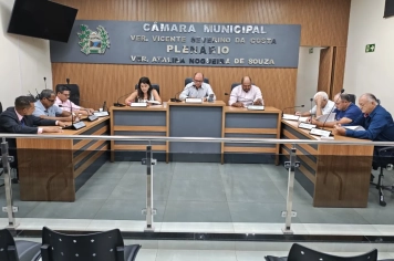 25ª Sessão Ordinária - 2026